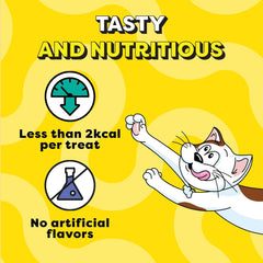 Cartoon cat character on a yellow background with text about treats being tasty, nutritious, low in calories, and without artificial flavors.