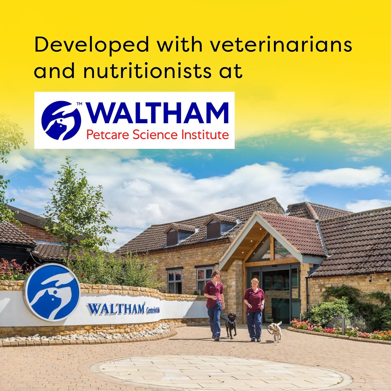 Waltham Petcare Science Institute with people walking a dog, set against a bright yellow sky.