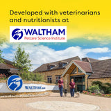 Waltham Petcare Science Institute with people walking a dog, set against a bright yellow sky.