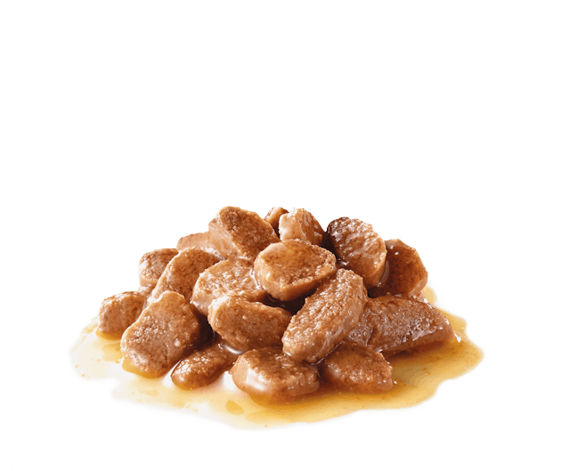 Royal Canin Urinary Cat Food (Wet).