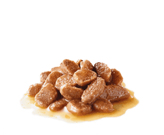 Royal Canin Urinary Cat Food (Wet).