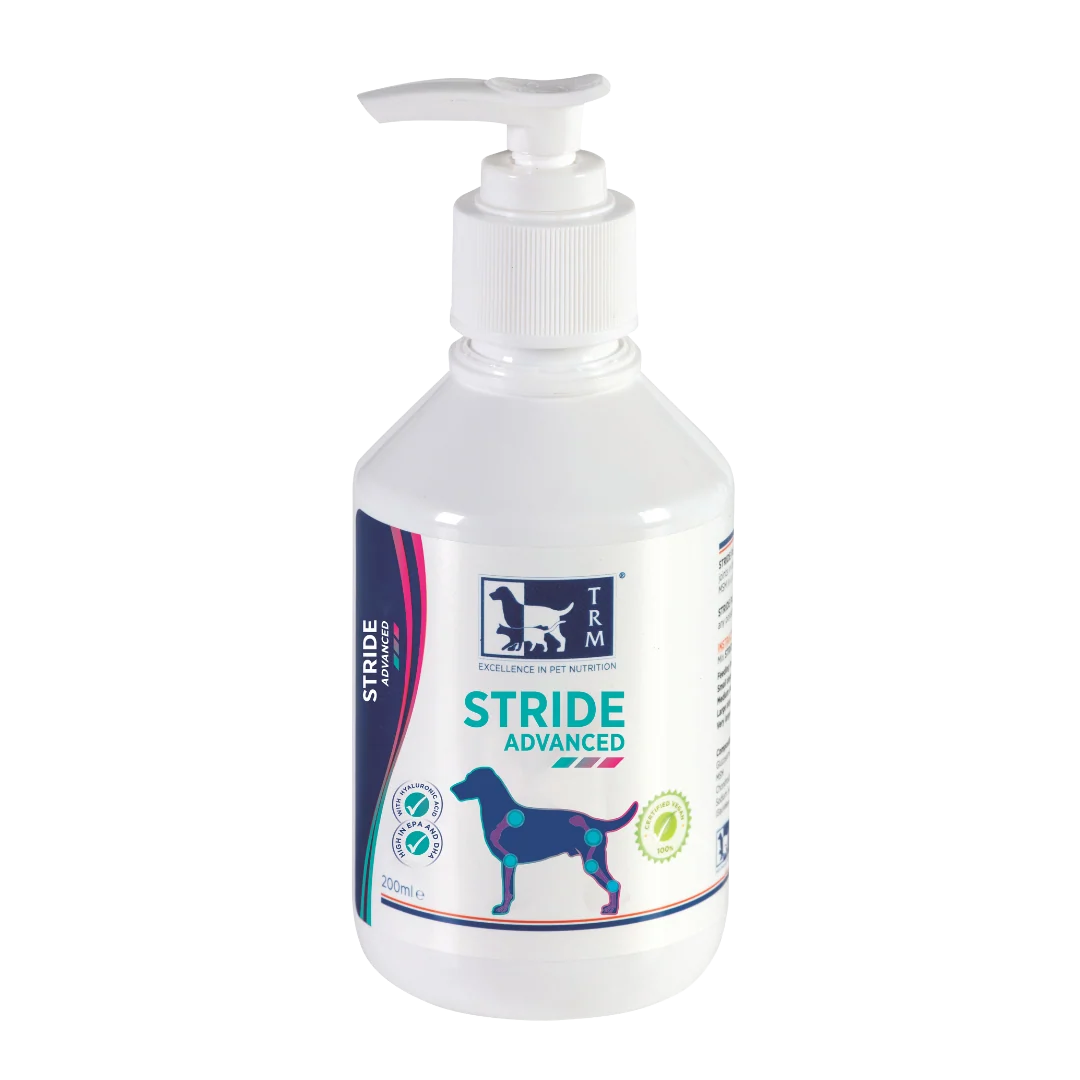 Vetina Stride Advanced Syrup bottle placed next to a measuring pump for dogs and cats joint support.