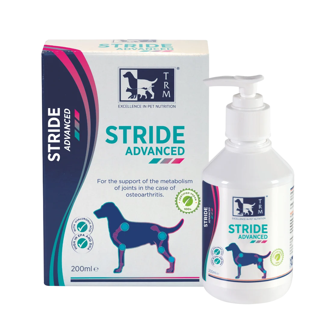 Front view of Vetina Stride Advanced Syrup 200ml joint supplement bottle on a clean white background.