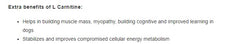 Vetina Canigel Multi Vitamin Paste for Dogs.