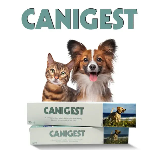 Vetina Canigest Paste for Dogs & Cats.