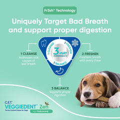 Dog chew product with text about bad breath and digestion support on a green background