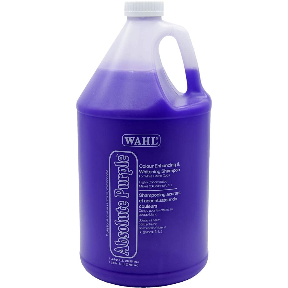 Purple bottle of Wahl Absolute Purple Shampoo on a white background