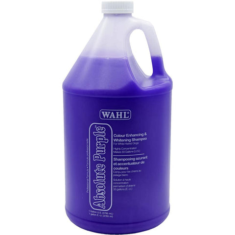 Purple bottle of Wahl Absolute Purple Shampoo on a white background