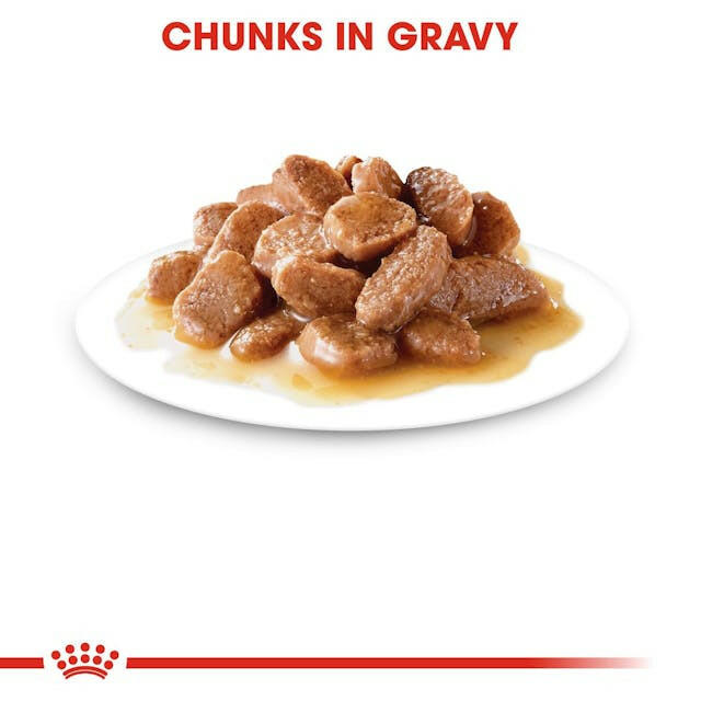 Royal Canin Urinary Cat Food (Wet).