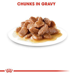 Royal Canin Urinary Cat Food (Wet).