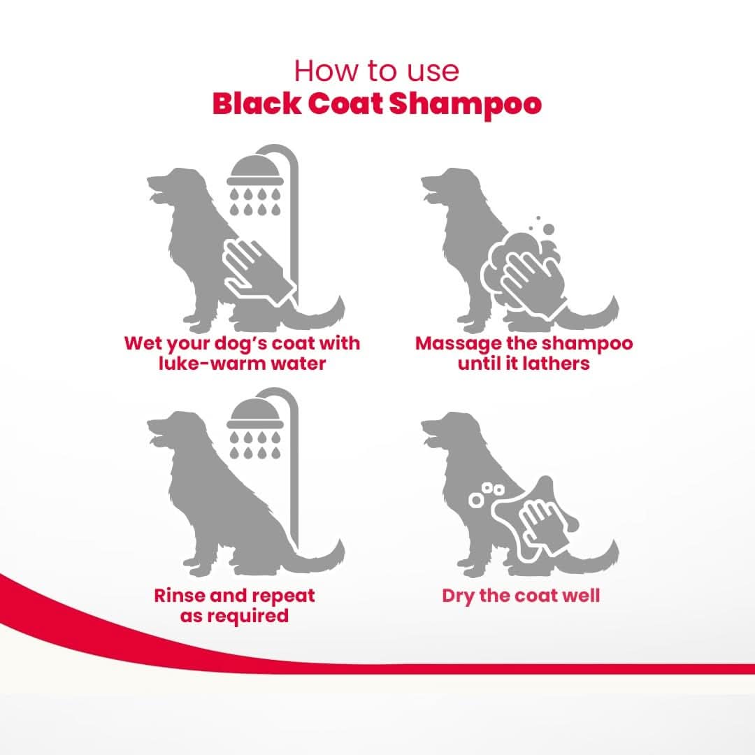Beaphar Black Coat Dog Shampoo, 250 ml - dspetstore.com