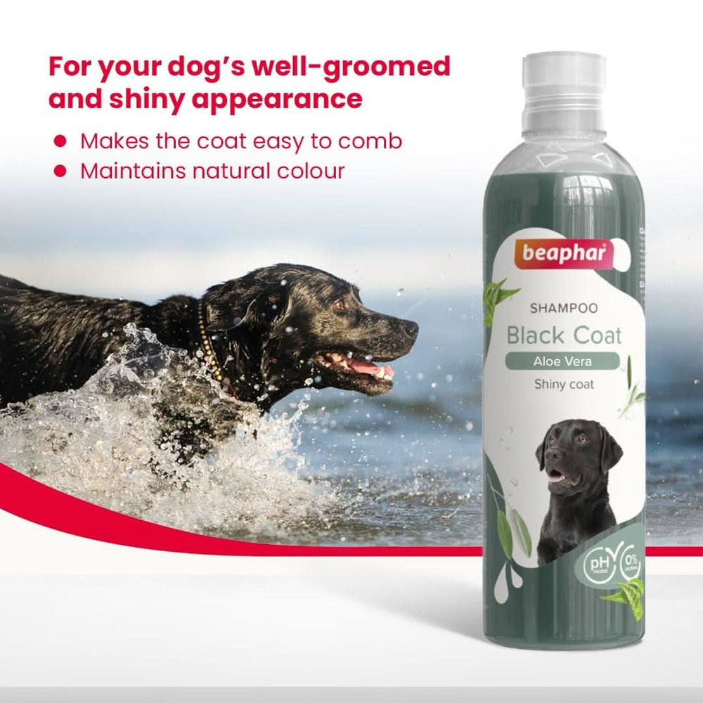 Beaphar Black Coat Dog Shampoo, 250 ml - dspetstore.com