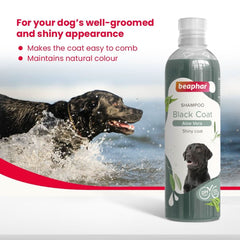 Beaphar Black Coat Dog Shampoo, 250 ml - dspetstore.com