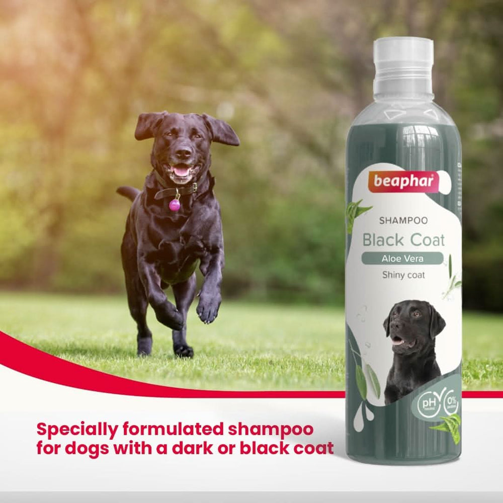 Beaphar Black Coat Dog Shampoo, 250 ml - dspetstore.com