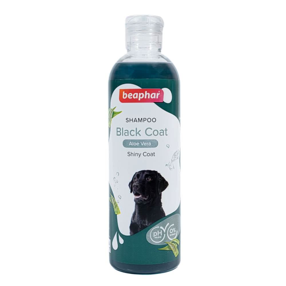 Beaphar Black Coat Dog Shampoo, 250 ml - dspetstore.com