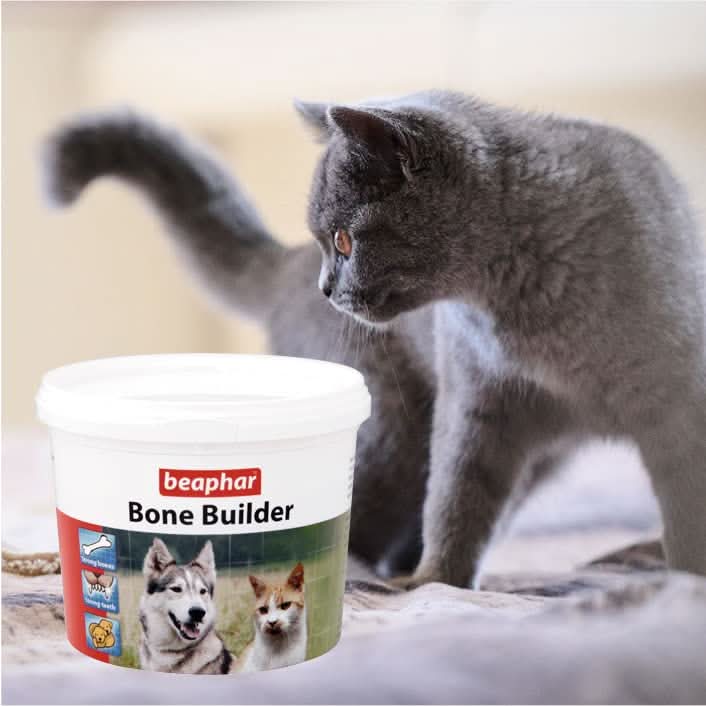Beaphar Bone Builder Calcium Supplement for Dogs & Cats - dspetstore.com