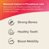 Beaphar Bone Builder Calcium Supplement for Dogs & Cats - dspetstore.com