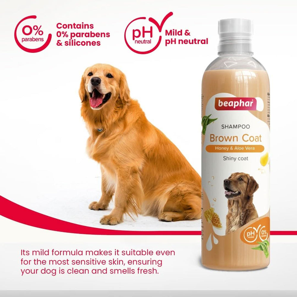 Beaphar Brown Coat Dog Shampoo – 250ml - dspetstore.com