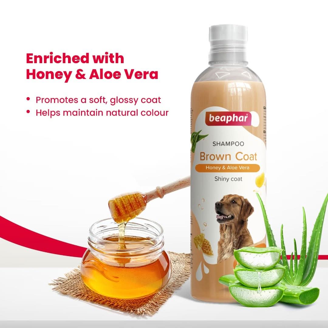 Beaphar Brown Coat Dog Shampoo – 250ml - dspetstore.com