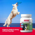 Beaphar Kalk Supplement for Dogs - Calcium Support - dspetstore.com