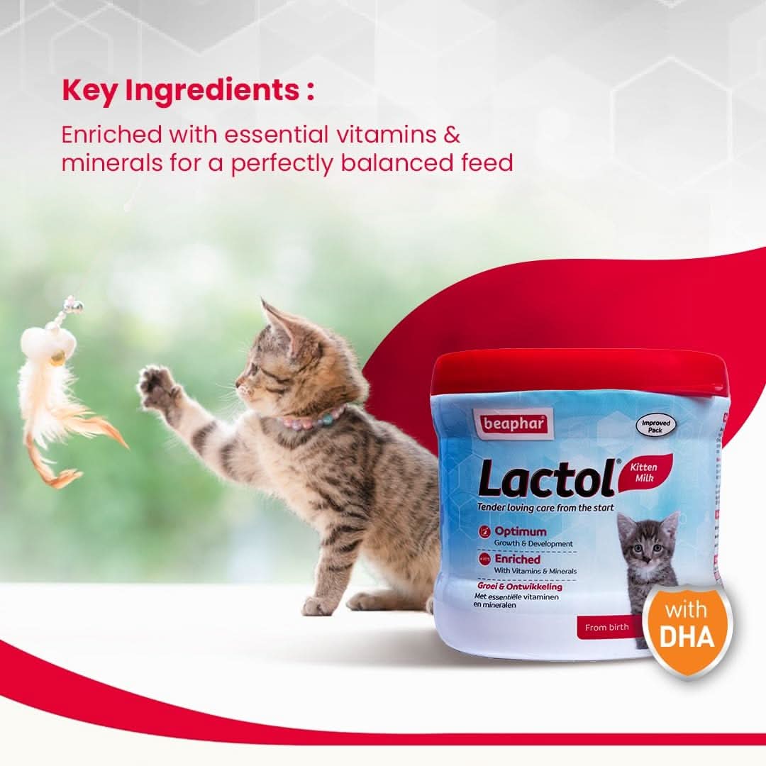 Beaphar Lactol Kitten Milk From Birth - dspetstore.com