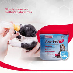 Beaphar Lactol Puppy Milk Replacement Powder - dspetstore.com