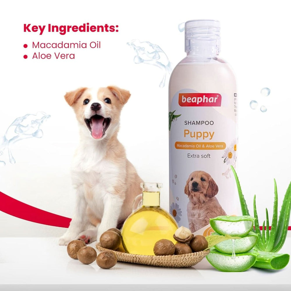 Beaphar Macadamia Oil Shampoo for Puppies – 250 ml - dspetstore.com
