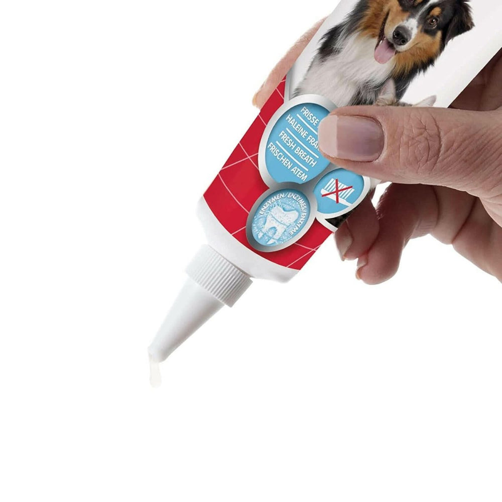 Beaphar Tooth Gel for Dogs and Cats - Oral Care for Pets - dspetstore.com