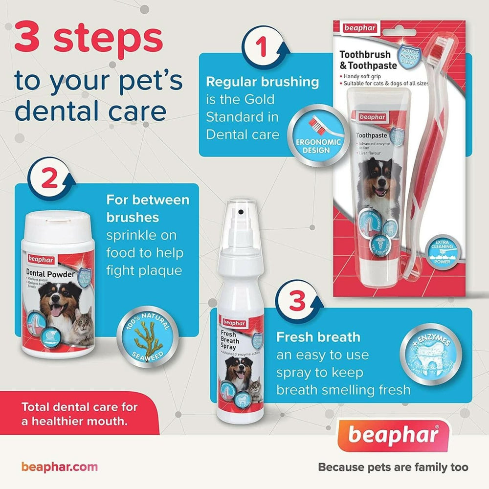 Beaphar Toothpaste for Dogs and Cats, 100g - dspetstore.com