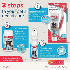 Beaphar Toothpaste for Dogs and Cats, 100g - dspetstore.com