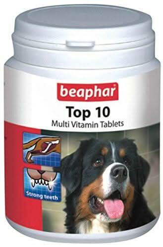 Beaphar Top 10 Multi Vitamin Supplement for Dogs – Health Boost - dspetstore.com