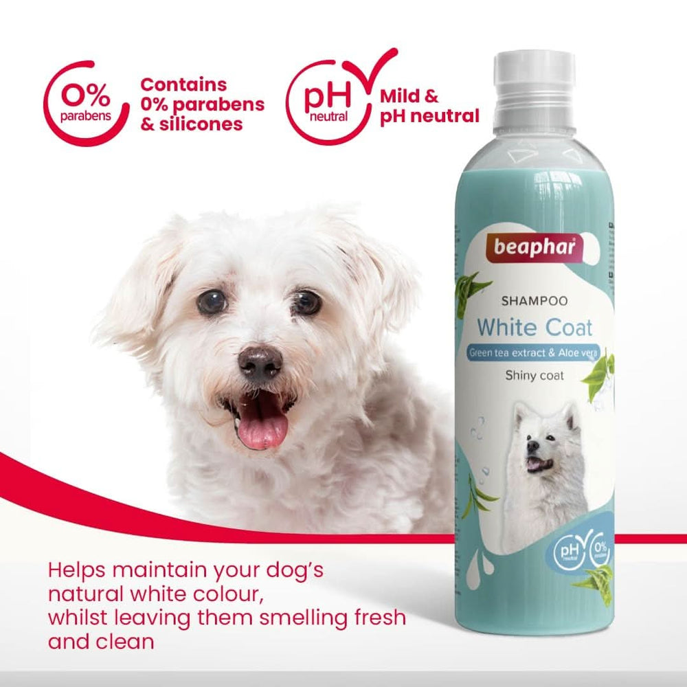 Beaphar White Coat Dog Shampoo – 250ml - dspetstore.com