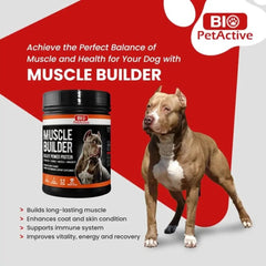 Bio Pet Active Muscle Builder, 120g - dspetstore.com