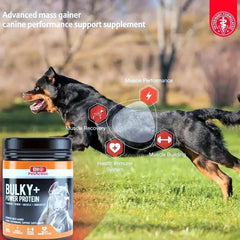 Bio Pet Active Muscle Builder, 120g - dspetstore.com