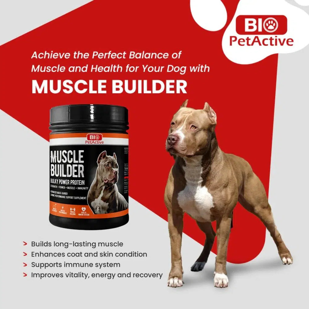 Muscle growth for dogs, Bio Pet Active Muscle Builder, with vitamins and minerals for daily use.