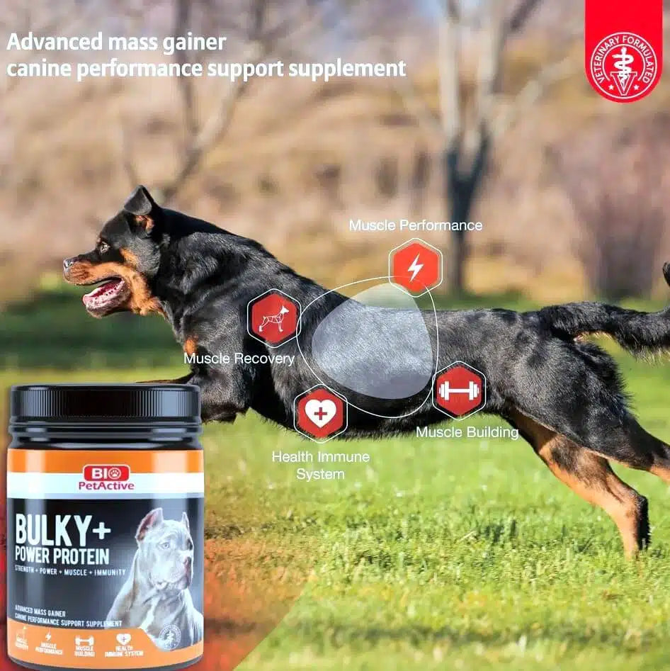 Bio Pet Active Muscle Builder, milk and soy protein for daily muscle support and strength.