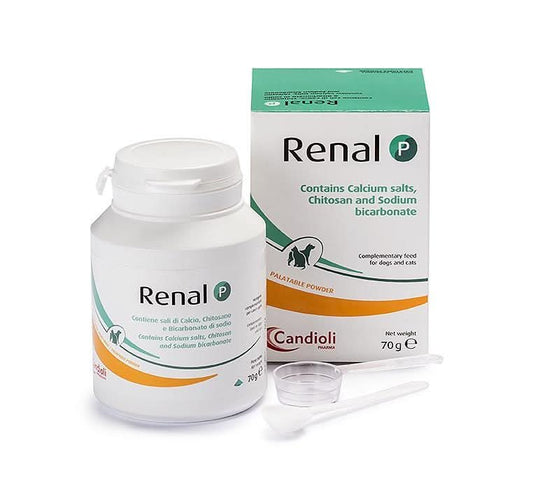 Renal P supplement packaging for dogs and cats, including a jar and a box with a spoon on a white background.