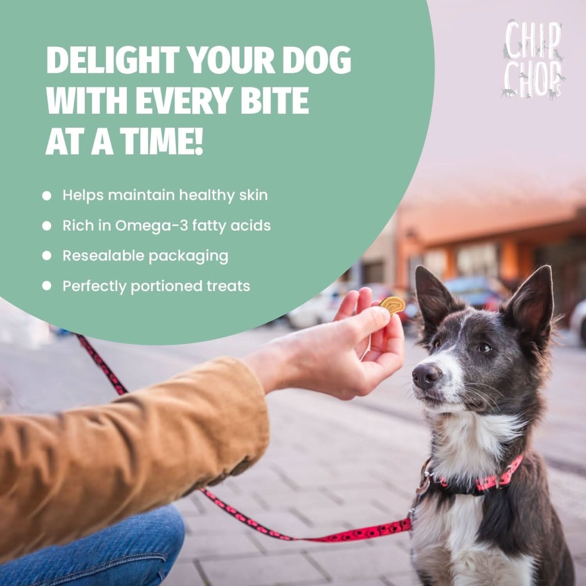 Chip Chops Chicken and Codfish Rolls Dog Treats - dspetstore.com