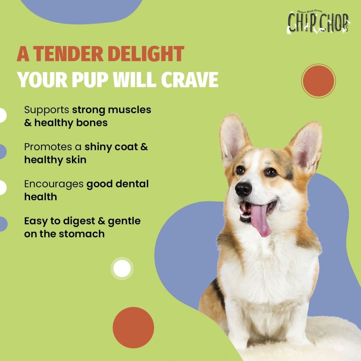 Chip Chops Chicken Tenders Dog Treats - dspetstore.com