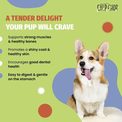 Chip Chops Chicken Tenders Dog Treats - dspetstore.com