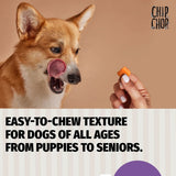 Chip Chops Diced Chicken Dog Treats - dspetstore.com