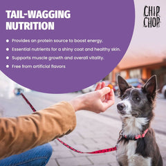 Chip Chops Diced Chicken Dog Treats - dspetstore.com