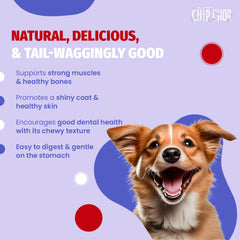 Chip Chops Chicken & Codfish Sandwich Dog Treats.