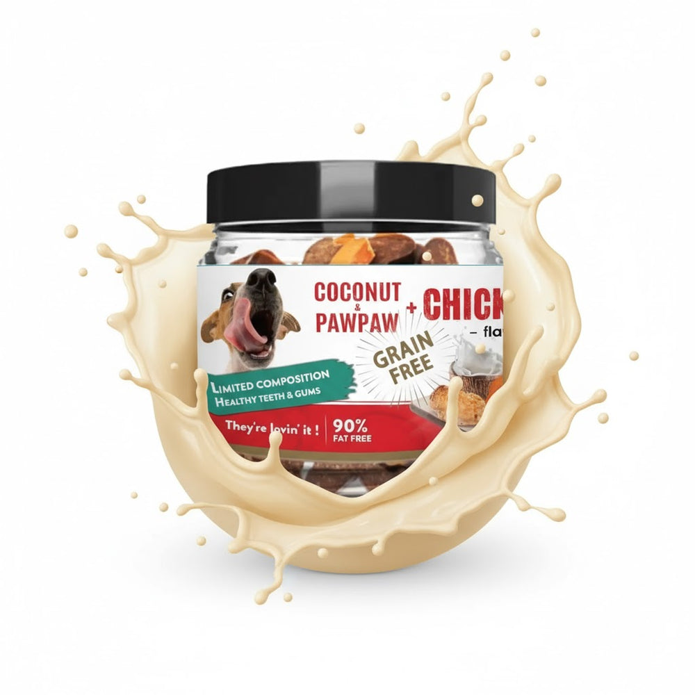 Jar of coconut pawpaw and chicken dog treats with a splash effect on a white background