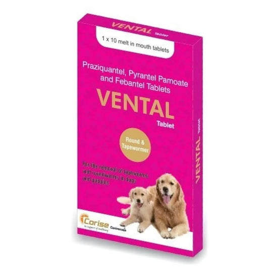 Corise Vental Tablet for Dogs - 1 Strip - dspetstore.com