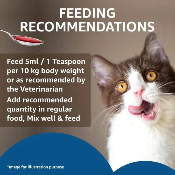 Drools Absolute Salmon Oil Syrup for Cats - dspetstore.com