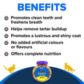 Drools Cat Treat Biscuits – Real Chicken Flavor – 400g Jar - dspetstore.com