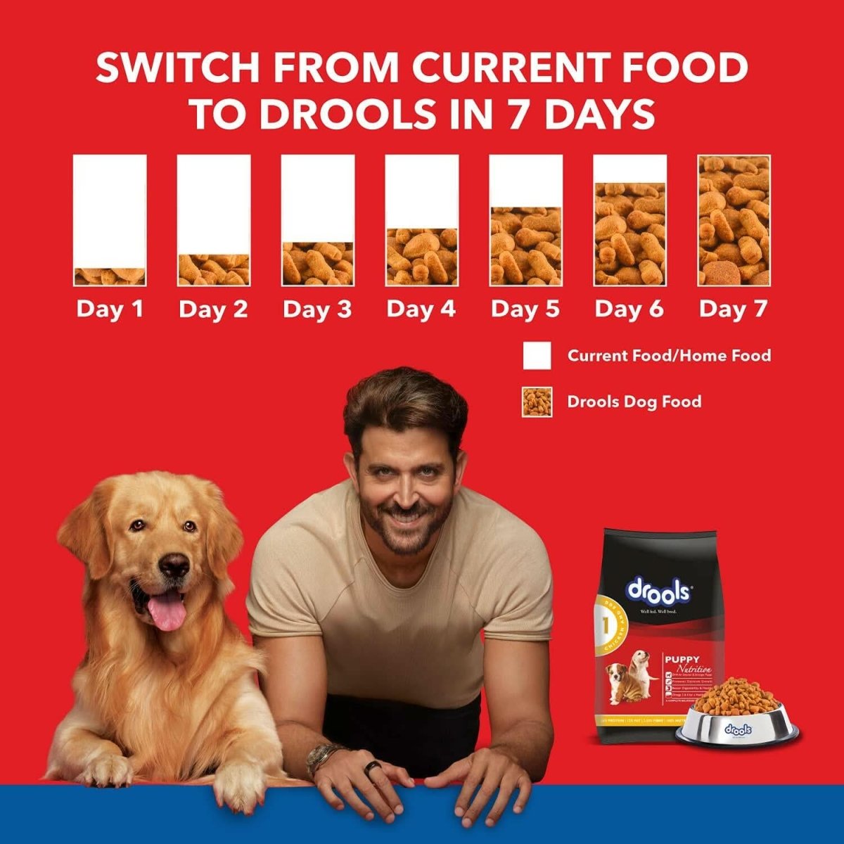 Drools Chicken & Egg Dry Puppy Dog Food - dspetstore.com
