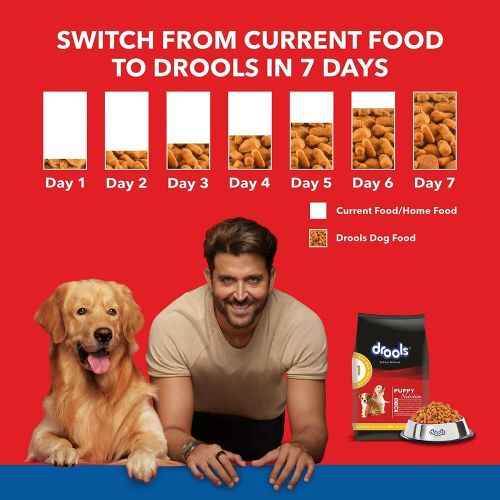 Drools Chicken & Egg Dry Puppy Dog Food - dspetstore.com