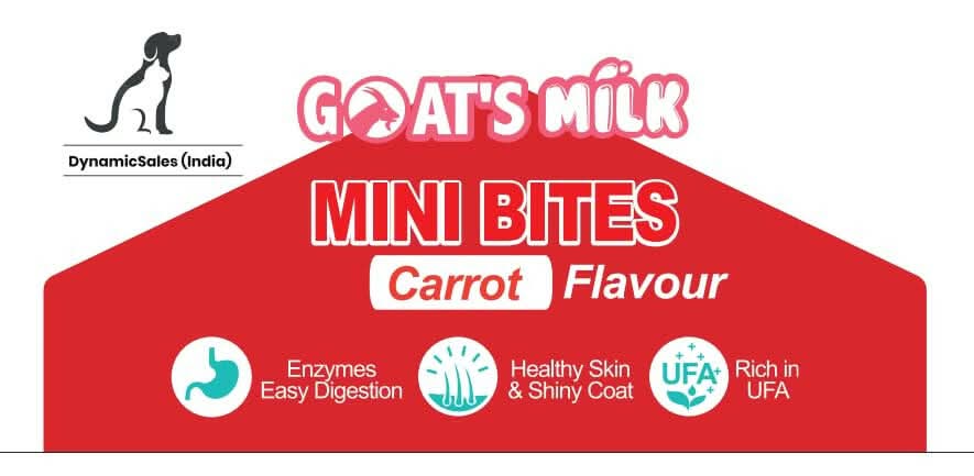 DynamicSales Hypoallergenic Dog Treats – Healthy Skin & Coat Mini Bites, Carrot Flavour - dspetstore.com